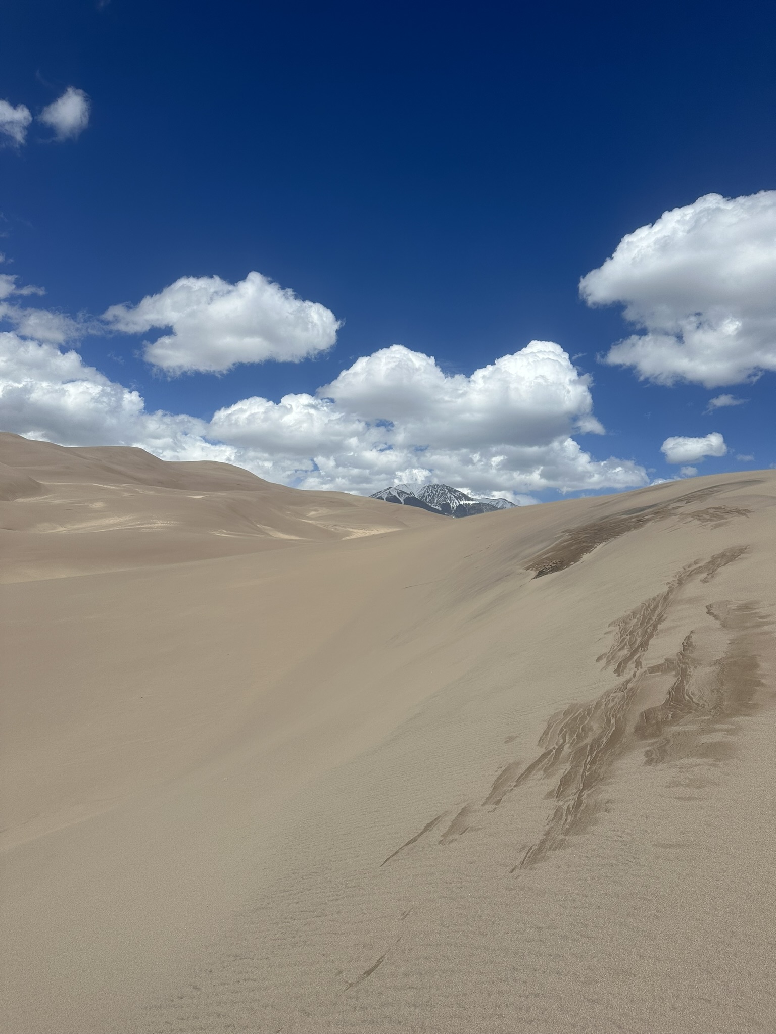 United States-National Parks-Other - Image 2243